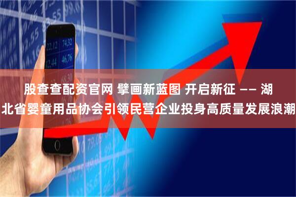 股查查配资官网 擘画新蓝图 开启新征 —— 湖北省婴童用品协会引领民营企业投身高质量发展浪潮