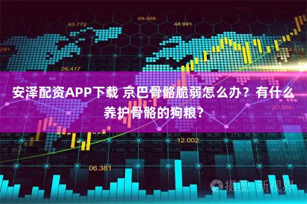 安泽配资APP下载 京巴骨骼脆弱怎么办？有什么养护骨骼的狗粮？