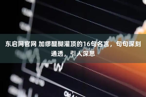 东启网官网 加缪醍醐灌顶的16句名言，句句深刻通透，引人深思